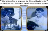 Chico Xavier - O Cão Menino
