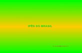 Ipes do brasil