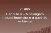 IECJ - Cap.   4 - A paisagem natural brasileira e a questão ambiental