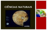Ciências naturais 7   história da terra - processos de fossilização