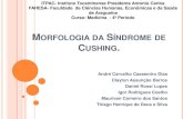 Morfologia da síndrome de cushing