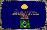 Brasil Natural Cerrado