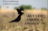 Aves de angola   album nº 01 - Nom passeres  ( Não pássaros)