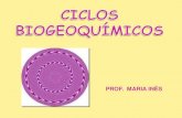 Ciclos biogeoquímicos- PROFESSORA MARIA INÊS