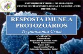 Resposta Imunológica a Trypanosoma cruzi