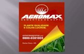 Apresentação Agromax slide
