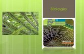 Biologia 11   ciclos de vida