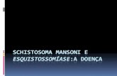 Schistosoma mansoni e esquistossomíase