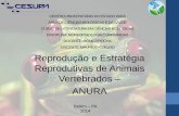 Reprodução e Estratégia Reprodutivas de Animais Vertebrados –  ANURA
