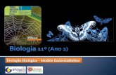 BG 20 - Evolução Biológica (Endossimbiose)
