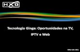 28/09/2011 - 14h às 16h - convergência digital - tecnologia ginga oportunidades na tv, iptv e web - Salustiano Fagundes