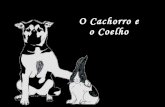 O Cachorro e o Coelho