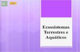 Biomas do Brasil (Ecossistemas terrestres) e Ecossistemas Aquáticos