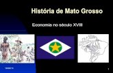 História de Mato Grosso - Economia no século XVIII