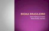Bioma brasileiro