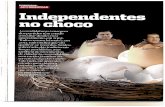 Isabel Magalhães - Candidatura Independente a Cascais (Revista Visão)