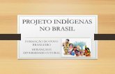 Apresentação de Projeto Indígenas no Brasil