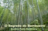 O segredo do bambueiro i   automático