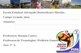 Copa 2010 e áfrica do sul