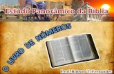 42   Estudo Panorâmico da Bíblia (Números)