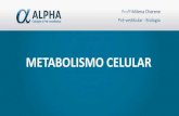 Metabolismo celular alpha