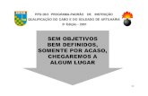 PROGRAMA-PADRÃO DE INSTRUÇÃO QUALIFICAÇÃO DO CABO E DO SOLDADO DE ARTILHARIA PPQ 06/2