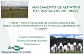 Mapeamento qualitativo das pastagens do Brasil