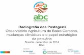 Radiografia das Pastagens - Observatório Agricultura de Baixo Carbono, mudanças climáticas e o papel estratégico da pecuária