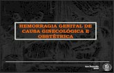 Hemorragia genital de_causa_obstetrica_e_ginecologica[1]