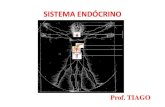 Apostila8 sistema endocrino