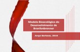 Modelo Bioecológico de Desenvolvimento de Bronfenbrenner