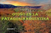 Argentina   patagonia (outono)