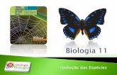 Bg 22   evolução biológica (fixismo e evolução)