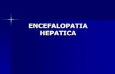 Encefalopatia hepática: conceito, causas diagnóstico e tratamento!