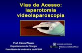 Aula - "Vias de Acesso à Cavidade Abdominal: laparotomia e videolaparoscopia".