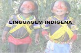 Linguagem indígena