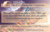 D na invest-criminal-pcr-electroforese(dnafinferprint)