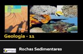 Geo 10 - Formação das Rochas Sedimentares (Biogénicas)