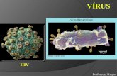 Virus e bactérias aula 2