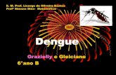 Dengue Graziely e Gleiciane