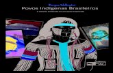Povos Indígenas Brasileiros