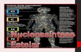 4   nucleossintese estelar
