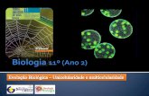 Bg 21   evolução biológica (unicelularide e multicelularidade)