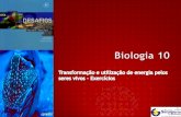 B21  - Transformação e utilização de energia pelos seres vivos - Exercícios