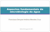 Aspectos fundamentais da microbiologia analítica da água