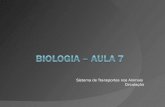 Biologia angloaula7 leandro