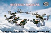 Inverno radical - queda livre
