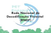 Rede Nacional de Decodificação Florestal
