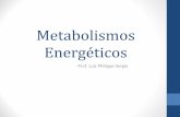 Aula 4  Biologia Celular V - Metabolismos Energéticos