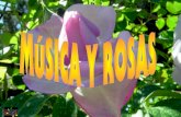 Musica y rosas